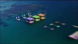 Survivor - Season 44 Episode 04